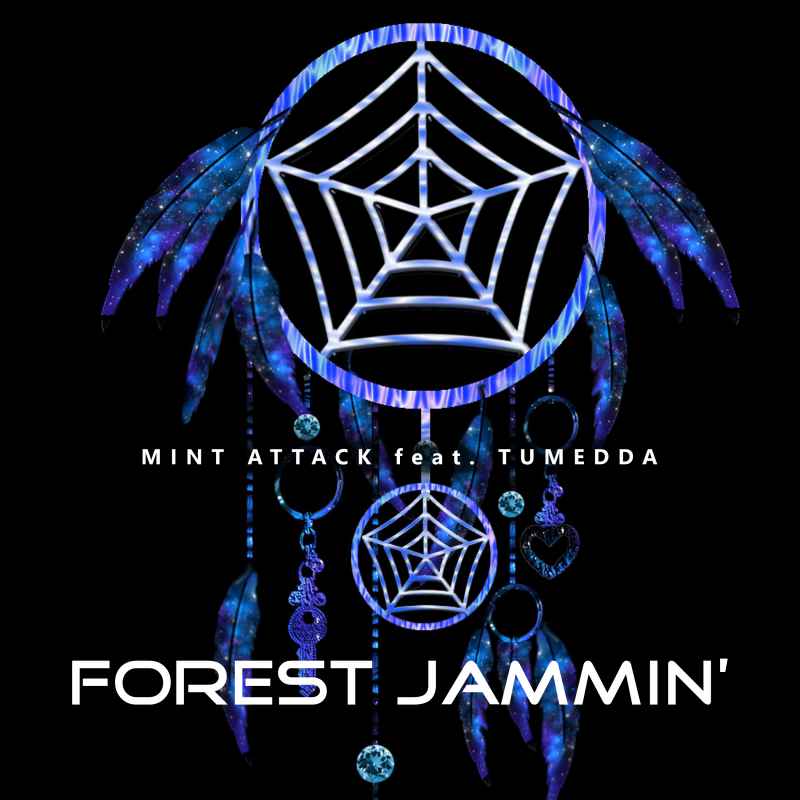 Cover of Forest Jammin'
